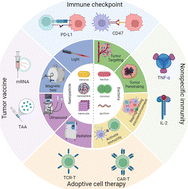 Graphical abstract: Nanomaterial combined engineered bacteria for intelligent tumor immunotherapy