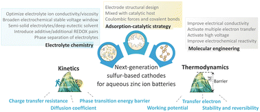 Graphical abstract: Sulfur-based cathodes for aqueous zinc ion batteries