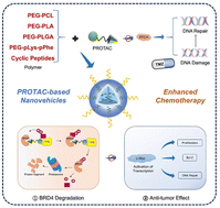 Graphical abstract: Polymer-engineered PROTAC nanovehicles amplify synergistic effects with temozolomide by BRD4 degradation