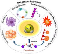 Graphical abstract: Synthetic organic polysulfanes as H2S donors and anticancer agents
