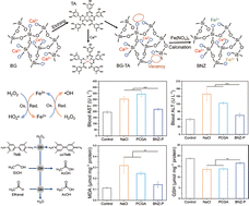 Graphical abstract: An iron-substituted bioglass nanozyme for alcohol intoxication alleviation