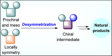Graphical abstract: Desymmetrization strategy in natural product total synthesis
