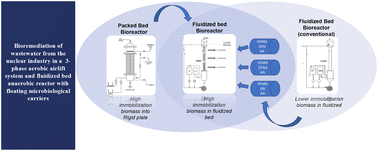 Graphical abstract: Novel fluidized-bed bioreactors with density-graded carriers for the bioremediation of nitrate in uranium industry effluents