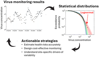 Graphical abstract: Lognormal distributions capture site-specific variability in enteric virus concentrations in wastewater