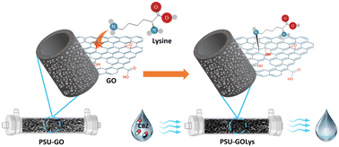 Graphical abstract: Functionalizing graphene oxide in polysulfone composite adsorption cartridges through in-flow, in situ treatment