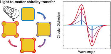 Graphical abstract: Light-to-matter chirality transfer in plasmonics