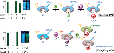 Graphical abstract: A simple chemosensor for Hg2+ and Cu2+ that works as a molecular keypad lock
