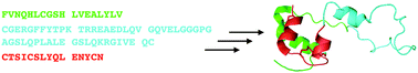 Graphical abstract: Total chemical synthesis of human proinsulin