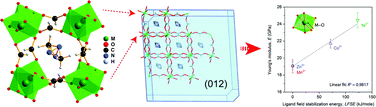 Graphical abstract: Influence of ligand field stabilization energy on the elastic properties of multiferroic MOFs with the perovskite architecture