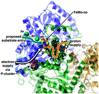 Graphical abstract: Nitrogenase: a general hydrogenator of small molecules