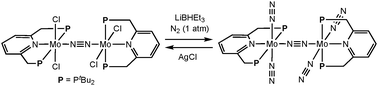 Graphical abstract: Preparation and reactivity of a dinitrogen-bridged dimolybdenum-tetrachloride complex