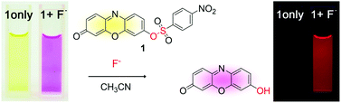 Graphical abstract: Reaction-based dual signaling of fluoride ions by resorufin sulfonates