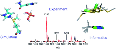 Graphical abstract: A catalytic role for methionine revealed by a combination of computation and experiments on phosphite dehydrogenase