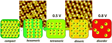 Graphical abstract: Potential-driven molecular tiling of a charged polycyclic aromatic compound