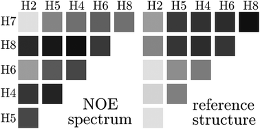 Graphical abstract: The intermolecular NOE is strongly influenced by dynamics