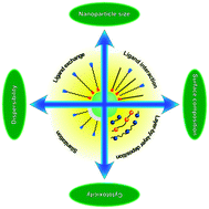 Graphical abstract: Surface modification and characterization of photon-upconverting nanoparticles for bioanalytical applications