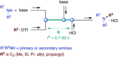 Graphical abstract: Selective monoalkylation of amines with light electrophiles using a flow microreactor system