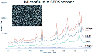 Graphical abstract: In situ microfluidic fabrication of SERS nanostructures for highly sensitive fingerprint microfluidic-SERS sensing