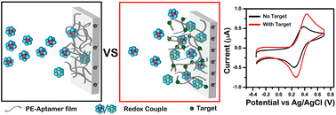 Graphical abstract: Factors influencing polyelectrolyte-aptamer multilayered films with target-controlled permeability for sensing applications