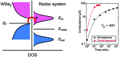 Graphical abstract: Effect of oxygen and ozone on p-type doping of ultra-thin WSe2 and MoSe2 field effect transistors