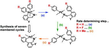 Graphical abstract: Kinetico-mechanistic studies on the formation of seven-membered [C,N]-platinacycles: the effect of methyl or fluoro substituents on the aryl ancillary ligands