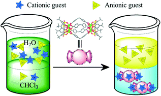 Graphical abstract: Designing structurally tunable and functionally versatile synthetic supercontainers