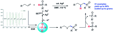 Graphical abstract: A silver-initiated free-radical intermolecular hydrophosphinylation of unactivated alkenes