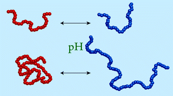 Graphical abstract: The pH-responsive behaviour of poly(acrylic acid) in aqueous solution is dependent on molar mass