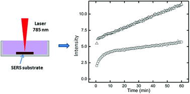 Graphical abstract: Temporal drift in Raman signal intensity during SERS measurements performed on analytes in liquid solutions