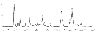 Graphical abstract: The effect of Schisandra chinensis extracts on depression by noradrenergic, dopaminergic, GABAergic and glutamatergic systems in the forced swim test in mice