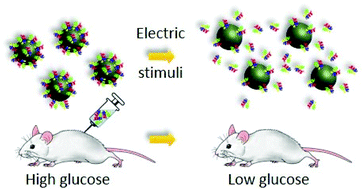 Graphical abstract: Electrically controlled release of insulin using polypyrrole nanoparticles