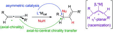 Graphical abstract: Chirality transfer in metal-catalysed intermolecular addition reactions involving allenes