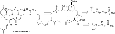 Graphical abstract: Approach to the synthesis of the C1–C11 and C14–C18 portion of Leucascandrolide A