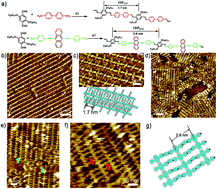 Graphical abstract: Dynamic covalent chemistry of imine polymers at the liquid/solid interface investigated by scanning tunneling microscopy