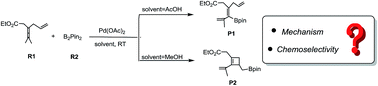 Graphical abstract: Mechanistic insight into the selective olefin-directed oxidative carbocyclization and borylation by a palladium catalyst: a theoretical study