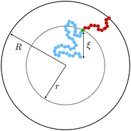 Graphical abstract: Cooperative strings in glassy nanoparticles