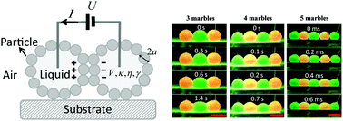 Graphical abstract: Coalescence of electrically charged liquid marbles