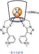 Graphical abstract: Selective perrhenate recognition in pure water by halogen bonding and hydrogen bonding alpha-cyclodextrin based receptors