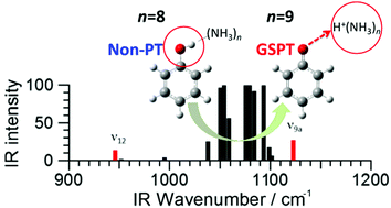 Graphical abstract: A theoretical study on the size-dependence of ground-state proton transfer in phenol–ammonia clusters