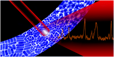 Graphical abstract: Anisotropic metal nanoparticles for surface enhanced Raman scattering