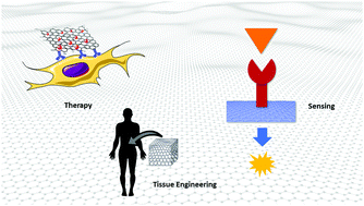 Graphical abstract: Promises, facts and challenges for graphene in biomedical applications