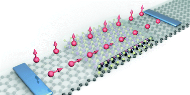 Graphical abstract: Spin transport in graphene/transition metal dichalcogenide heterostructures