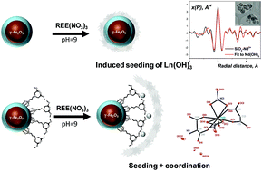 Graphical abstract: Coordination of rare earth element cations on the surface of silica-derived nanoadsorbents