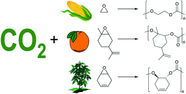 Graphical abstract: A quest for polycarbonates provided via sustainable epoxide/CO2 copolymerization processes