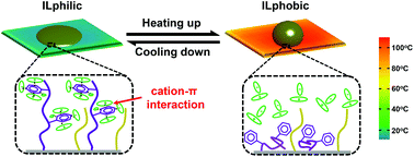 Graphical abstract: A smart surface with switchable wettability by an ionic liquid