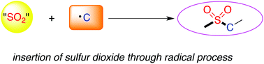 Graphical abstract: Insertion of sulfur dioxide via a radical process: an efficient route to sulfonyl compounds