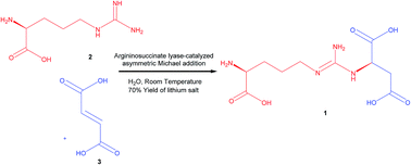 Graphical abstract: Biocatalytic asymmetric Michael addition reaction of l-arginine to fumarate for the green synthesis of N-(([(4S)-4-amino-4-carboxy-butyl]amino)iminomethyl)-l-aspartic acid lithium salt (l-argininosuccinic acid lithium salt)