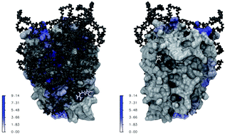 Graphical abstract: Molecular insights into the improved clinical performance of PEGylated interferon therapeutics: a molecular dynamics perspective