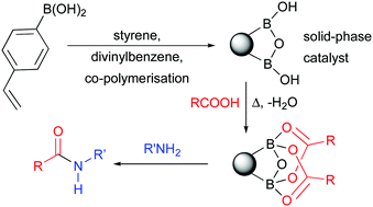 Graphical abstract: A solid-supported arylboronic acid catalyst for direct amidation