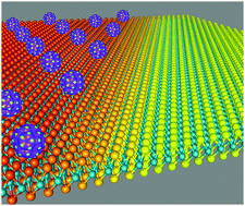 Graphical abstract: The organic–2D transition metal dichalcogenide heterointerface